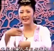 黄梅戏家春秋经典唱段视频艺术节女驸马牛郎织女